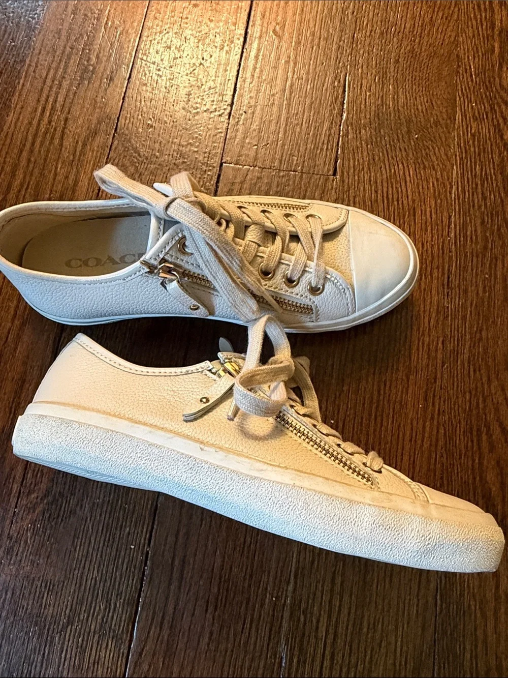 Coach empire zipper sneaker size 6B